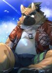  absurd_res aloha_shirt anthro belly boar_stag144 bottomwear brown_body brown_fur canid canine canis clothing domestic_dog eyebrows fur hi_res jewelry lifewonders male mammal necklace pattern_clothing pattern_shirt pattern_topwear scar shirt shorts sitting slightly_chubby solo thick_eyebrows tokyo_afterschool_summoners topknot topwear yasuyori 