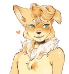  &lt;3 ambiguous_gender anthro canid canine canis cheek_tuft chest_tuft circle_eyebrows dalimash domestic_dog eyebrows facial_markings facial_tuft floppy_ears fox fur green_eyes head_markings head_tuft hi_res hybrid inner_ear_fluff mammal markings muzzle_(marking) myth_(ezpups) neck_tuft smile snout snout_markings solo spots spotted_body spotted_fur tan_body tan_fur tuft white_markings 