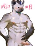  2023 5_fingers abs anthro areola arknights balls blush bulge detailed_bulge ear_piercing fingers fur genitals grey_background grey_body grey_fur hi_res humanoid_genitalia humanoid_penis hyena hypergryph looking_down male mammal muscular muscular_anthro muscular_male nude penis piercing pluto08010511 pu94_d1de4c simple_background solo spot_(arknights) spots spotted_body spotted_fur spotted_hyena studio_montagne 