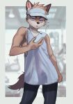  absurd_res anthro canid canine cellphone clothed clothing fox fur hair hat headgear headwear hi_res holding_cellphone holding_object holding_phone holding_smartphone looking_at_viewer male mammal manadezimon phone smartphone solo tail 