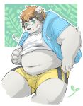  2023 absurd_res anthro bear belly big_belly black_nose blush bottomwear bulge clothing green_eyes hi_res hoodie humanoid_hands kemono male mammal navel overweight overweight_male roostax_wilddog shirt shorts solo topwear 