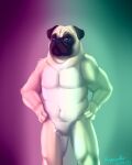  anthro canid canine canis digital_media_(artwork) domestic_dog fur hi_res male mammal molosser nude pug rhagpanther small_molosser solo toy_dog 