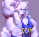  2022 angry_eyes angry_face anthro arm_tuft blue_clothing blue_eyes blue_shirt blue_tank_top blue_topwear canid canine canis cheek_tuft clothing curled_tail digital_media_(artwork) e-w01f elbow_tuft facial_tuft frown frown_eyebrows fur grey_background half-length_portrait hand_behind_head hi_res male mammal muscular muscular_anthro muscular_arms muscular_male neck_tuft nipples pecs pink_nipples pink_nose portrait shirt signature simple_background solo tail tank_top thick_neck topwear tuft whiskers white_body white_fur wolf 