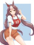  1girl alternate_costume animal_ears breasts brown_hair gym_uniform hair_ornament highres horse_ears horse_girl horse_tail kemuri_(etep3372) long_hair looking_at_viewer low_twintails medium_breasts shorts smile solo tail twintails umamusume yamanin_zephyr_(umamusume) yellow_eyes 