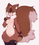  absurd_res anthro breasts dagger female fluffy fluffy_tail food fruit genitals hi_res katsucoffee mammal melee_weapon neck_tuft nipples nut_(fruit) plant pussy rodent sciurid solo squirrel_tail tail tree_squirrel tuft twiss_(stunnyseed/twiss) weapon 