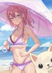  1girl absurdres asta_(honkai:_star_rail) bare_arms bare_shoulders beach bikini blue_eyes blue_sky braid breasts cleavage cloud collarbone commentary cowboy_shot day dog highres holding holding_umbrella honkai:_star_rail honkai_(series) long_hair looking_at_viewer medium_breasts navel ocean one_side_up peppy_(honkai:_star_rail) pink_hair pink_umbrella purple_bikini sky smile standing stomach swimsuit umbrella water zunoda 