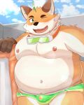  2023 anthro belly big_belly blush bulge canid canine clothing fox guratan_wa hi_res iyo_(tamacolle) kemono male mammal moobs navel nipples one_eye_closed overweight overweight_male solo swimwear tamacolle wink 