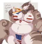  american_flag_bikini anthro bra clothing collar domestic_cat eating eating_food eyewear felid feline felis female food galette glasses hair mammal neck_tuft overweight overweight_female panties pizza signature solo stars_and_stripes thick_thighs tuft underwear united_states_of_america wide_hips 