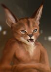  anthro big_ears black_nose blurred_background brown_body brown_fur chest_tuft crossed_arms fangs felid feline fur grey_eyes hi_res looking_at_viewer lynx male mammal open_mouth patreon_artist patreon_username pink_tongue slim slim_anthro slim_male smile solo stampmats teeth tongue tuft whiskers 