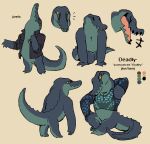  anthro crocodile crocodilian crocodylid english_text jagged_mouth male model_sheet pronouns reptile scalie solo teebsly text 
