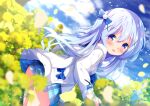  1girl ass blue_eyes blue_hair blue_skirt blush chinomaron cowboy_shot day flower gochuumon_wa_usagi_desu_ka? hair_between_eyes hair_ornament jacket kafuu_chino light_blue_hair long_hair long_sleeves looking_at_viewer open_clothes open_jacket open_mouth outdoors petals plaid plaid_skirt pleated_skirt skirt smile solo white_jacket x_hair_ornament yellow_flower 