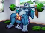  absurd_res anthro belly blue_body blue_fur bulge canid canine canis chubby_anthro chubby_male clothed clothing exercise fur hi_res krideg male mammal musclegut muscular muscular_anthro muscular_male navel pecs topless weightlifting weights wolf workout yukon 