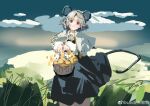  1girl absurdres animal_ears basket blush capelet chinese_commentary cloud commentary_request day dress feet_out_of_frame flower grass grey_dress grey_hair highres holding holding_basket jewelry long_sleeves looking_at_viewer mouse mouse_ears mouse_girl mouse_tail nazrin outdoors pendant red_eyes sancking_(fatekl) shirt short_hair sky solo tail touhou weibo_logo weibo_username white_capelet white_shirt yellow_flower 