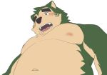  anthro belly blush canid canine canis domestic_dog eyebrows fur green_body green_fur hi_res lifewonders live_a_hero low-angle_view male mammal mokdai musclegut navel nipples pecs shirtless solo suro964708 thick_eyebrows 