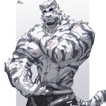  1boy abs absurdres animal_ears arknights bara blue_eyes cowboy_shot facial_hair furry furry_male goatee hand_on_own_shoulder highres large_hands large_pectorals looking_ahead male_focus mountain_(arknights) muscular muscular_male navel navel_hair nipples open_hand pectorals run_(arun_six) scar scar_across_eye scar_on_arm short_hair solo stomach tail thick_eyebrows tiger_boy tiger_ears tiger_tail white_fur white_hair 