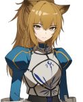  1girl animal_ears arknights armor armored_dress artoria_pendragon_(fate) brown_eyes brown_hair expressionless fate/stay_night fate_(series) gauntlets hair_between_eyes high_ponytail jason_kim kawasumi_ayako lion_ears lion_girl saber siege_(arknights) voice_actor_connection white_background 