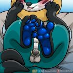  3_toes blue_body blue_skin blush buizel chastity_cage chastity_device cute_expression embarrassed feet feral generation_4_pokemon legs_up male mammal mokata_(buizel) mustelid nintendo otter pawpads paws permanent permanent_chastity_device pokemon pokemon_(species) raised_paw shy smile soles solo teasing thecluelessfox_(artist) toes 