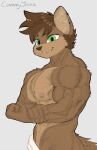  anthro biceps big_pecs cammy_(cammyjazz) cammyjazz flexing gulonine hi_res male mammal marten muscular muscular_male mustelid musteline pecs sable_(marten) solo 