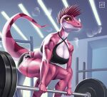  anthro athletic athletic_anthro athletic_female barbell big_breasts bodily_fluids bottomwear bra breasts breath cleavage clothed clothing crouching dinosaur dromaeosaurid exercise facial_horn female gym gym_bottomwear gym_clothing gym_shorts hi_res holivi horn nose_horn red_body red_scales reptile scales scalie shorts solo sports_bra sweat theropod underwear velociraptor weightlifting workout 