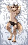  2023 anthro bedroom_eyes blep bulge canid canine canis cheek_tuft claws clothed clothing digital_media_(artwork) digitigrade facial_tuft feet fluffy fluffy_tail fur hair hands_behind_back head_accessory hi_res kogi looking_at_viewer lying male mammal narrowed_eyes on_back paws pinup pose seductive smile solo suggestive tail tongue tongue_out topless tuft underwear underwear_only wolf 