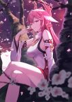  1girl absurdres animal_ears arm_rest bare_shoulders blurry blurry_foreground breasts cherry_blossoms crossed_legs cup detached_sleeves earrings falling_petals feet_out_of_frame fingernails floppy_ears fox_ears genshin_impact hair_between_eyes hair_ornament hand_up highres holding holding_cup in_tree japanese_clothes jewelry large_breasts legs long_hair looking_at_viewer nontraditional_miko petals pink_hair purple_eyes sakazuki sideboob siro_joon sitting sitting_in_tree sleeveless sleeveless_turtleneck smile solo thighs tree turtleneck wide_sleeves yae_miko 