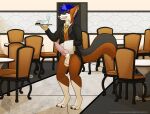  absurd_res anthro bodily_fluids canid canine clothed clothing cross digital_media_(artwork) erection genitals hi_res looking_at_viewer male mammal marvelous_managerie penis restaurant solo solo_focus waiter_tray 