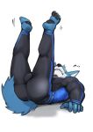  absurd_res anthro asleepchef blue_body bulge butt canid clothing fangs hair hi_res male mammal multicolored_body muscular muscular_male paws pecs solo tail teeth tight_clothing yakumo_(asleepchef) 