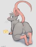  anthro anus backsack balls blush butt cheese dairy_products feet food fur genitals grey_body grey_fur hi_res looking_back male mammal murid murine nude presenting presenting_hindquarters raised_tail rat rear_view rodent schmutzo solo tail whiskers 