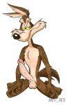  2011 anthro anti_dev balls canid canine canis coyote genitals humanoid_genitalia humanoid_penis looking_at_viewer looney_tunes male mammal penis smile smirk solo warner_brothers wile_e._coyote yellow_sclera 