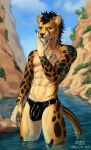  anthro athletic athletic_anthro athletic_male bulge cheetah clothing felid feline hi_res latex_clothing male mammal markings pize solo underwear water 