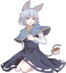  1girl animal_ears basket blue_capelet brown_eyes capelet dress full_body grey_dress grey_hair jewelry kanaria_(bocmn) kneeling long_sleeves looking_at_viewer mouse_ears mouse_girl mouse_tail nazrin open_mouth pendant short_hair simple_background socks solo tail touhou white_background white_socks 