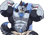  5_fingers abs absurd_res anthro biceps big_biceps big_muscles black_nose blue_eyes blue_hair body_hair bottomwear canid canine canis chest_hair clothing darknaigart fingers flexing fur hair hairy hi_res looking_at_viewer male mammal multicolored_body multicolored_fur multicolored_tail muscular muscular_anthro muscular_male nipples open_mouth paws pecs serratus sharp_teeth shorts simple_background solo tail teeth tuft watermark wolf 