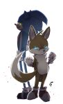  anthro canid canine duo eulipotyphlan fox hedgehog hi_res male male/male mammal miles_prower sega simple_background sonic_the_hedgehog sonic_the_hedgehog_(series) tea_patriarch white_background 
