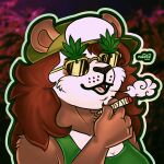  anthro bear blizzard_entertainment clothing drugs eyewear female giant_panda glasses hat headgear headwear hi_res male male/female mammal marijuana marijuana_blunt naoto pandaren solo warcraft 