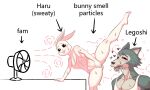  anthro beastars blush bodily_fluids canid canine canis clothed clothing covering covering_crotch daimo drooling duo english_text female fur girlsmell_particles haru_(beastars) hi_res lagomorph legoshi_(beastars) leporid male male/female mammal open_mouth rabbit saliva spread_legs spreading sweat text tongue tongue_out wolf 