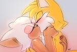 age_difference anthro bat canid canine duo female fox hi_res kiss_on_lips kissing krazyelf larger_male lipstick makeup male male/female mammal miles_prower older_female rouge_the_bat sega size_difference sonic_the_hedgehog_(series) younger_male 