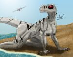  absurd_res aircraft airplane angry anthro atrociraptor beach crawling dinosaur dromaeosaurid female ghost_(jurassic_world_dominion) hi_res jurassic_park jurassic_world jurassic_world:_dominion lindwormduality nipples reptile sand scalie sea seaside solo striped_body stripes sun theropod universal_studios water white_body 