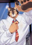 adjusting_tie anthro brown_body brown_fur canid canine canis clothing domestic_dog dress_shirt fur grausummon lifewonders live_a_hero male mammal muscular muscular_anthro muscular_male necktie pawpads pubraseer purple_eyes shirt solo topwear 