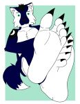  2023 5_toes alraio anthro black_eyebrows blue_body blue_fur blue_hair blue_tail cale_(alonelywolf44) canid canine canis chest_tuft claws crescent_(shape) crossed_legs eyebrows feet fluffy fluffy_tail foot_fetish foot_focus fur green_background green_eyes hair hi_res humanoid_feet looking_at_viewer male mammal multicolored_body multicolored_fur plantigrade prick_ears short_hair simple_background soles solo tail toe_claws toes tuft two_tone_body two_tone_fur white_background white_body white_fur wolf 