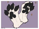  anthro canid canine canis claws feet foot_fetish foot_focus hi_res male mammal pawpads sabbyth solo solo_focus sparkles tatujapa toepads toes wolf 