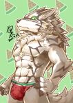  abs anthro athletic athletic_anthro athletic_male black_sclera bulge c82102111 canid canine canis clothing food fruit green_eyes hi_res jackal lifewonders male mammal melon pecs plant seth_(tas) solo speedo swimwear tokyo_afterschool_summoners watermelon 