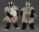  2023 american_badger anthro badger balls bodily_fluids body_hair ch40t1c chest_hair claws cum digital_media_(artwork) facial_hair front_view fur genital_fluids genitals gradient_background grey_body grey_fur hair hand_on_butt hand_on_hip happy_trail hi_res holding_penis kars_(ch40t1c) leaking_cum leaking_precum looking_at_viewer male mammal mustelid musteline nipples nude overweight penis ponytail precum rear_view sideburns simple_background smile smirk solo spreading striped_hair teeth toe_claws tongue tongue_out 