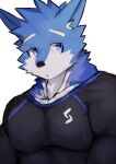  absurd_res anthro asleepchef blue_body blue_eyes blue_fur bored canid clothing fur hi_res male mammal muscular muscular_male nipple_outline pecs shirt solo topwear 
