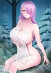  1girl azur_lane breasts covering green_eyes hair_down hair_over_one_eye highres huge_breasts light_smile long_hair looking_at_viewer night nude_cover official_alternate_costume official_alternate_hairstyle onsen outdoors pine_tree rock sai-go sitting snow soaking_feet solo towel tree trieste_(amore_termico)_(azur_lane) trieste_(azur_lane) wading water wet wet_towel white_towel winter 