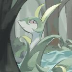  animal_focus closed_mouth commentary_request day forest highres looking_at_viewer mame_(pixiv_57985908) muted_color nature no_humans outdoors partial_commentary pokemon pokemon_(creature) red_eyes river serperior snake solo tree water 