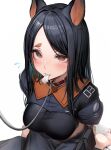  1girl absurdres animal_ears arknights black_hair black_pants black_shirt blush bone breasts brown_eyes collar commentary_request dobermann_(arknights) dog_ears dog_girl highres leash long_hair looking_at_viewer mole mole_under_eye pants red_collar shirt simple_background sitting solo swept_bangs tab_head wariza white_background 