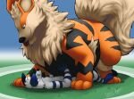  anthro arcanine arctic_fox belly big_belly blep blizzard_(blizzyfox) blush canid canine duo feral fox generation_1_pokemon hi_res male male/male mammal nintendo pinned pokemon pokemon_(species) raster_dreams tongue tongue_out winter_(blizzyfox) 