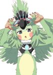  1girl :o arms_up blue_eyes blush body_fur feathered_wings feathers finch_(xenoblade) goggles goggles_on_head green_feathers green_hair green_wings kageyasu looking_at_viewer open_mouth simple_background solo upper_body white_background wings xenoblade_chronicles_(series) xenoblade_chronicles_2 