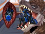  absurd_res anthro black_body black_feathers black_sclera blue_body blue_eyes blue_feathers bodily_fluids cheek_tuft cutaway duo facial_tuft fangs feathers hi_res imperatorcaesar in_mouth male mouth_shot narrowed_eyes on_tongue open_mouth oral_vore red_tongue saliva saliva_on_tongue sitting smile teeth tongue tuft vore winged_arms wings 