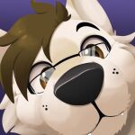  anthro canid canine canis face_focus feve fluffy headshot_portrait icon looking_at_viewer male mammal portrait sabbyth scruffy solo solo_focus wolf 